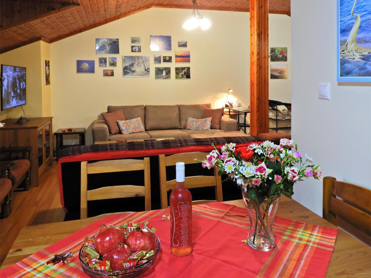 Apartmán Panoramaloft - Quality, View, Sea & Mountain Litochoro Exteriér fotografie